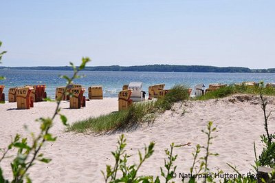 Eckernförder Strand mit Strandkörben, direkt dahinter die Ostsee 